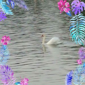 Meet your Posher, Becky